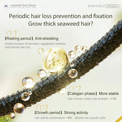 Anti-Hair Loss Shampoo